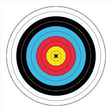 Birchwood Casey 2-sided color paper target for archery 17.75x17.75