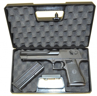 Guncase 30 x 17,5 x 6 cm