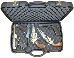 Guncase 48,5 x 27,5 x 8 cm