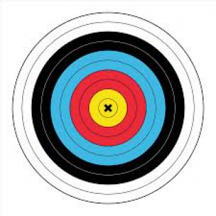 Birchwood Casey 2-sided color paper target for archery 17.75x17.75