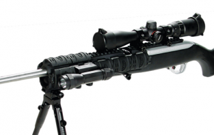 Ruger 10/22 Tactical Quad Rail