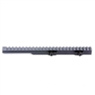 Ruger 10/22 in .22M or.17HMR Picatinny Scope Rail