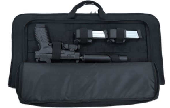 Homeland Security Gun Case